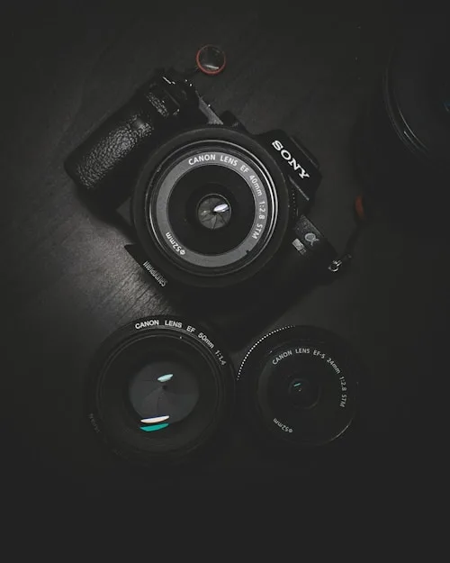 Photography Blog - 赏金女王3